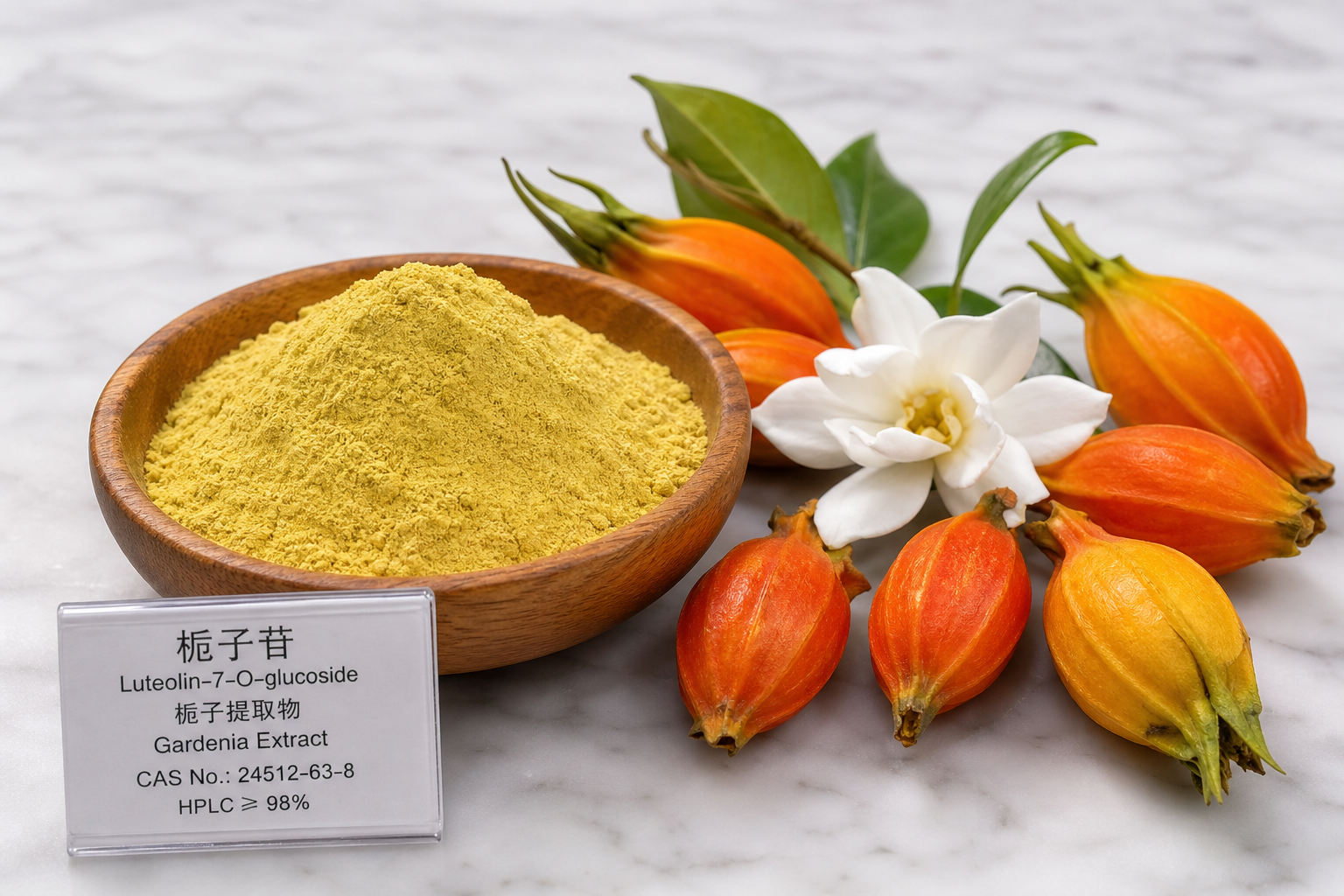 木犀草苷70–80%（栀子果）