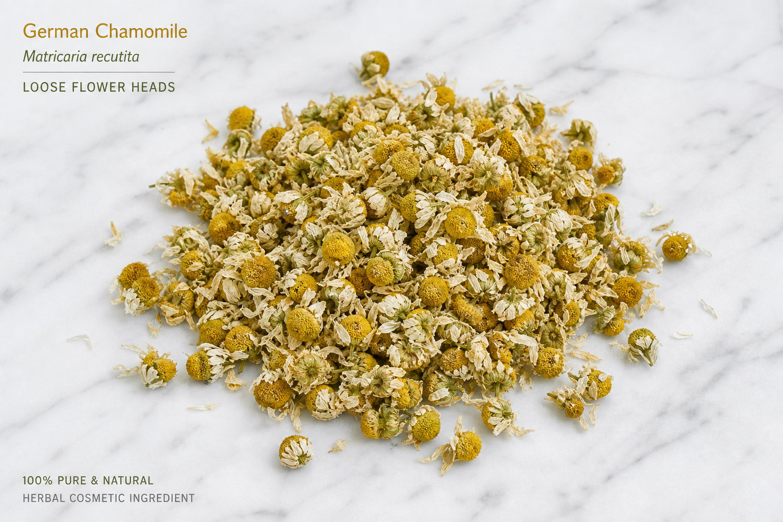 Chamomile Matricaria Flowers Matricaria recutita