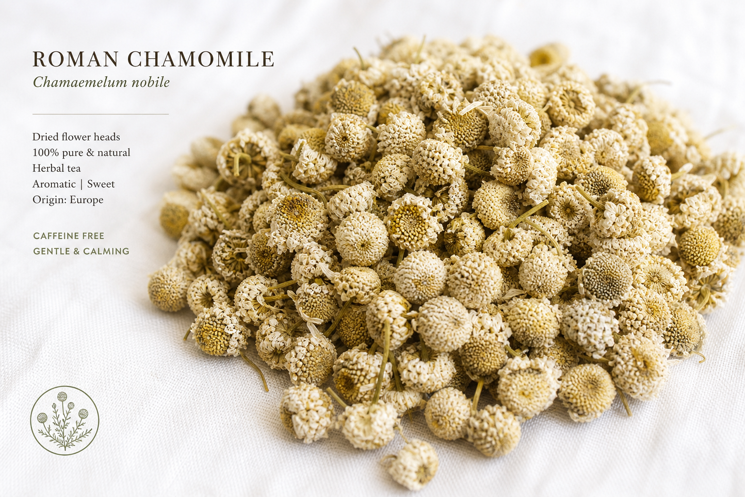 Chamomile Roman Flowers Chamaemelum nobile