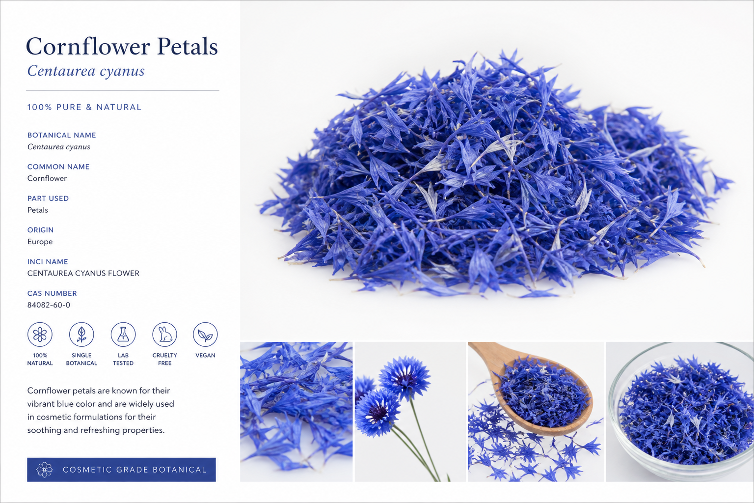 Cornflower Petals Blue Whole Centaurea cyanus