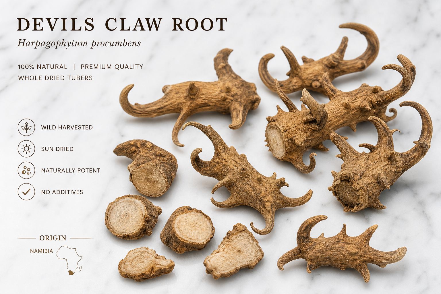 Devils Claw Root Cut Harpagophytum procumbens/zeyheri