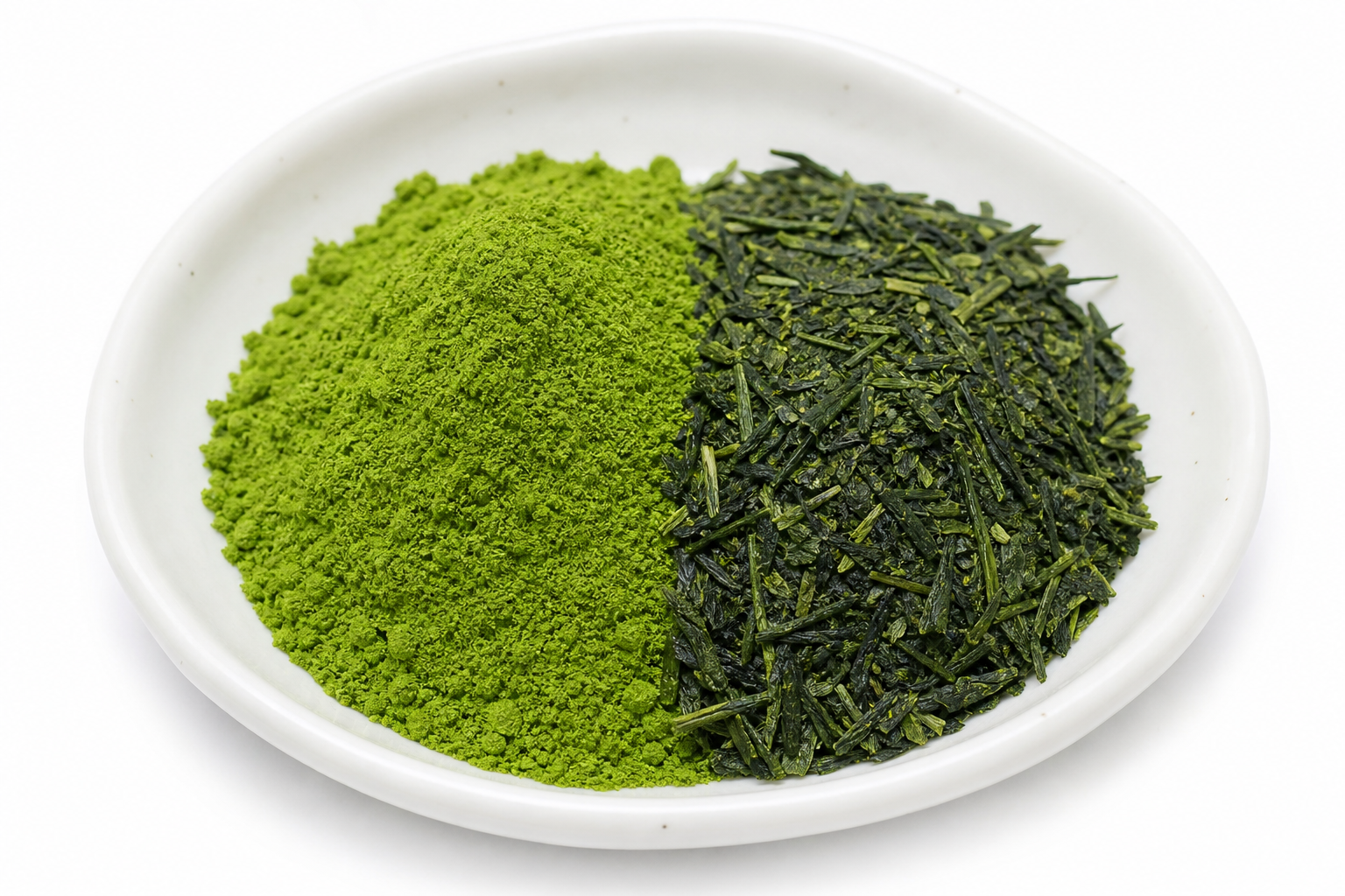 Green Tea Sencha Powder Camellia sinensis