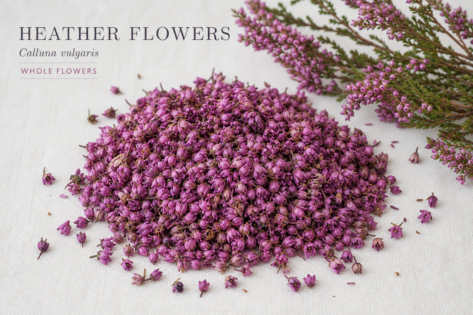 Heather Flowers Whole Calluna vulgaris