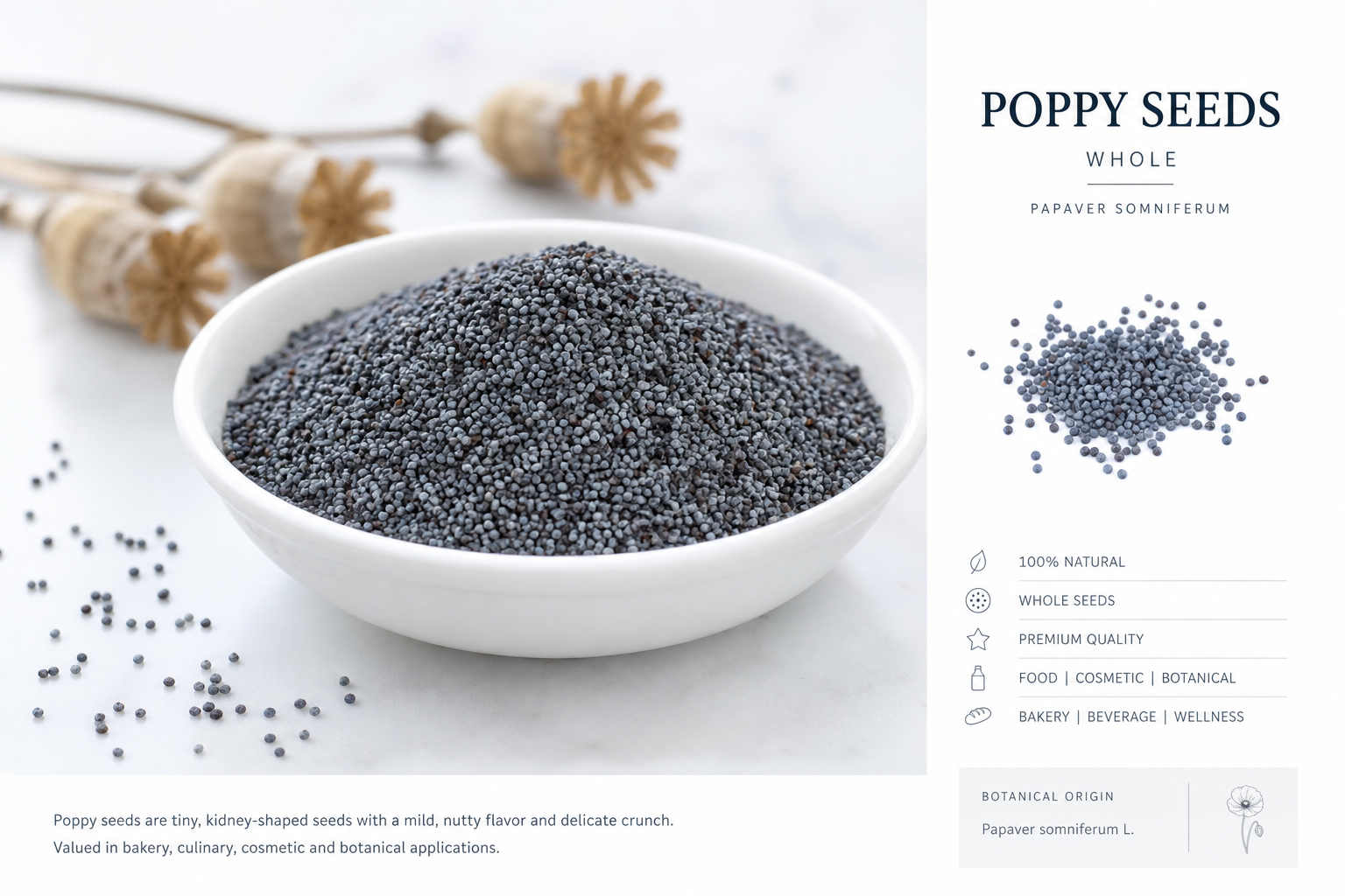 Poppy Seeds Whole Papaver somniferum