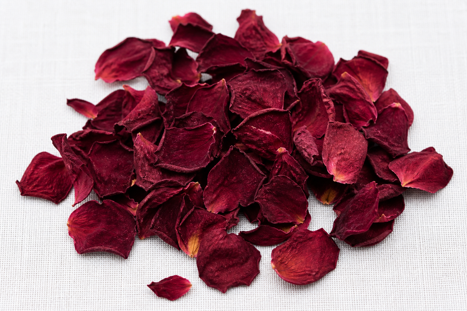 Rose Petals Red Rosa sp.