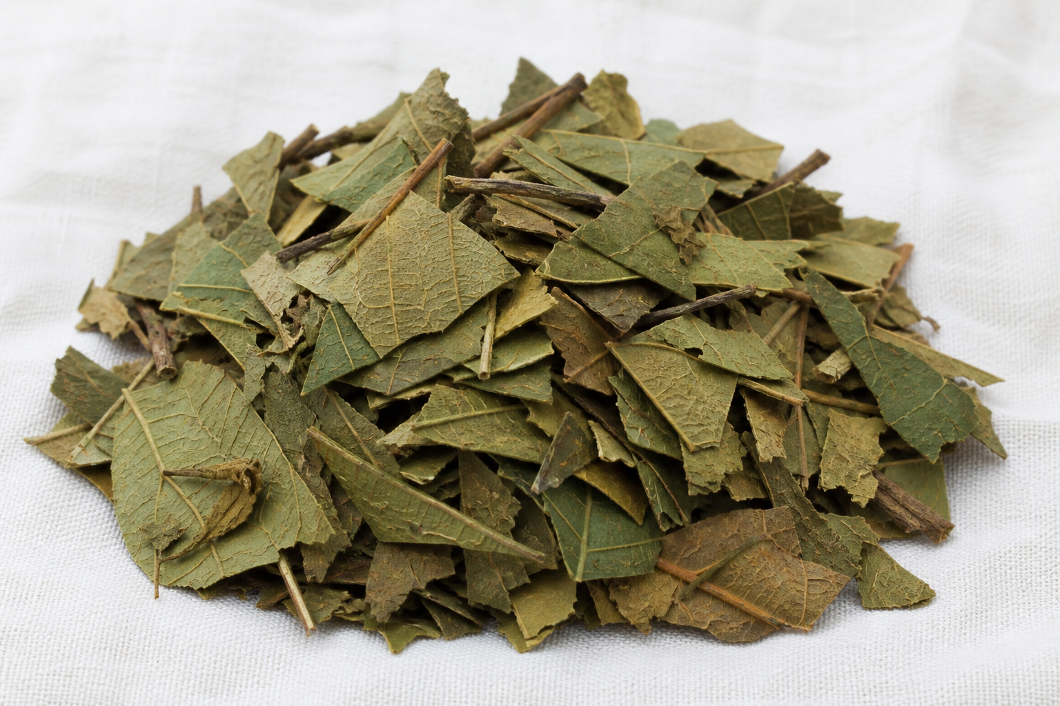 Walnut Leaves Cut Juglans regia