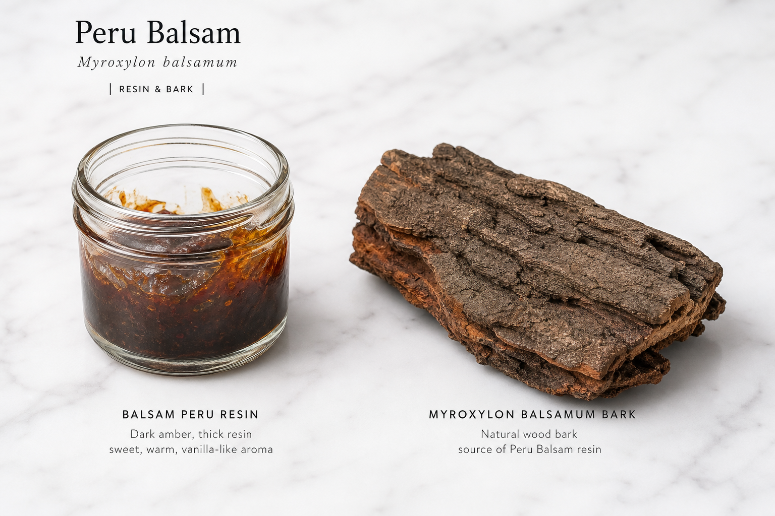 Balsam Peru Myroxylon balsamum var pereirae