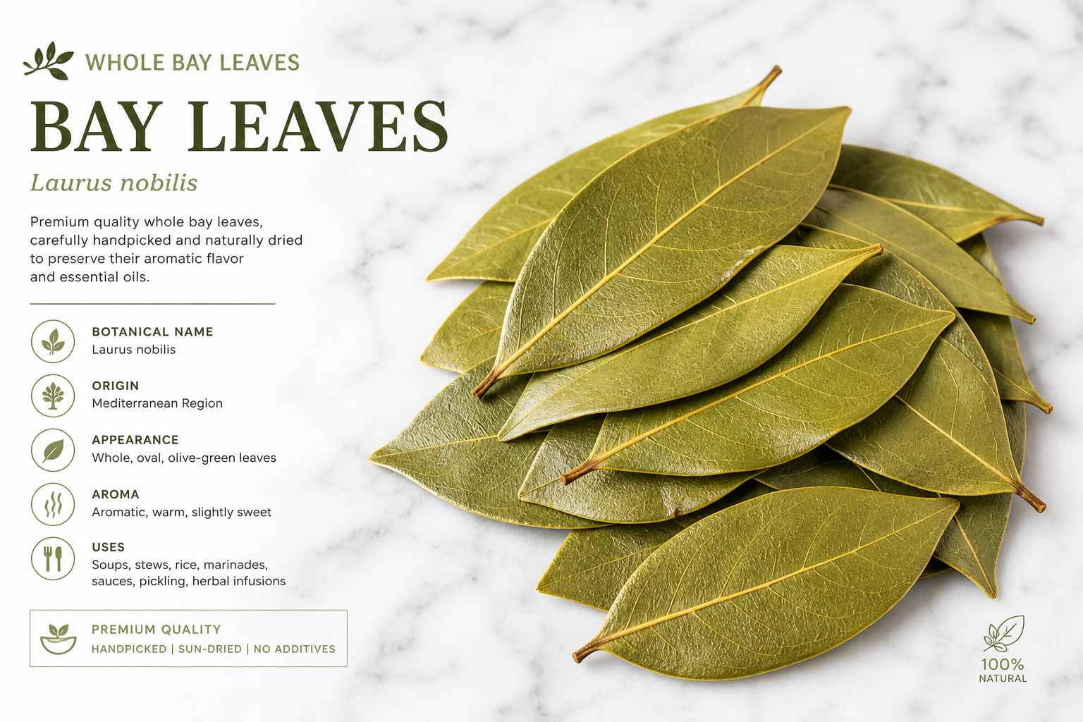 Bay Leaves Whole Laurus nobilis