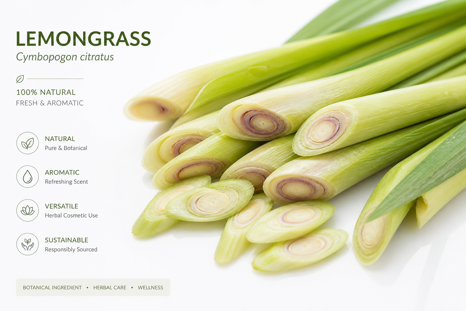 Lemongrass Cut Cymbopogon citratus