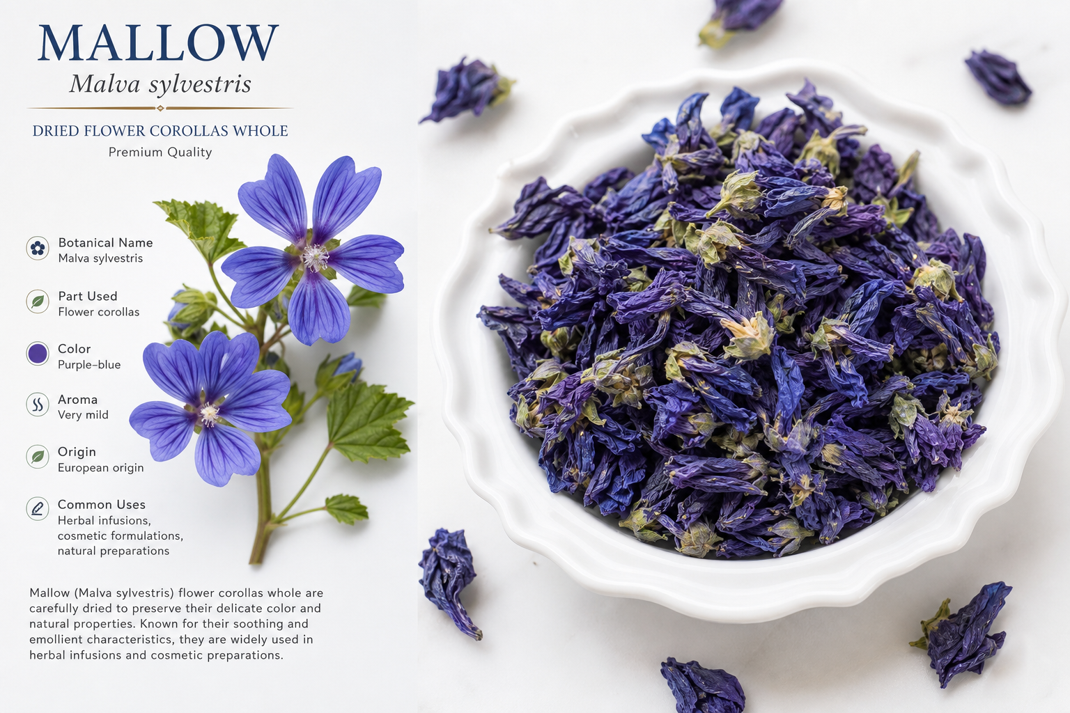 Mallow Flowers Whole Blue Malva sylvestris