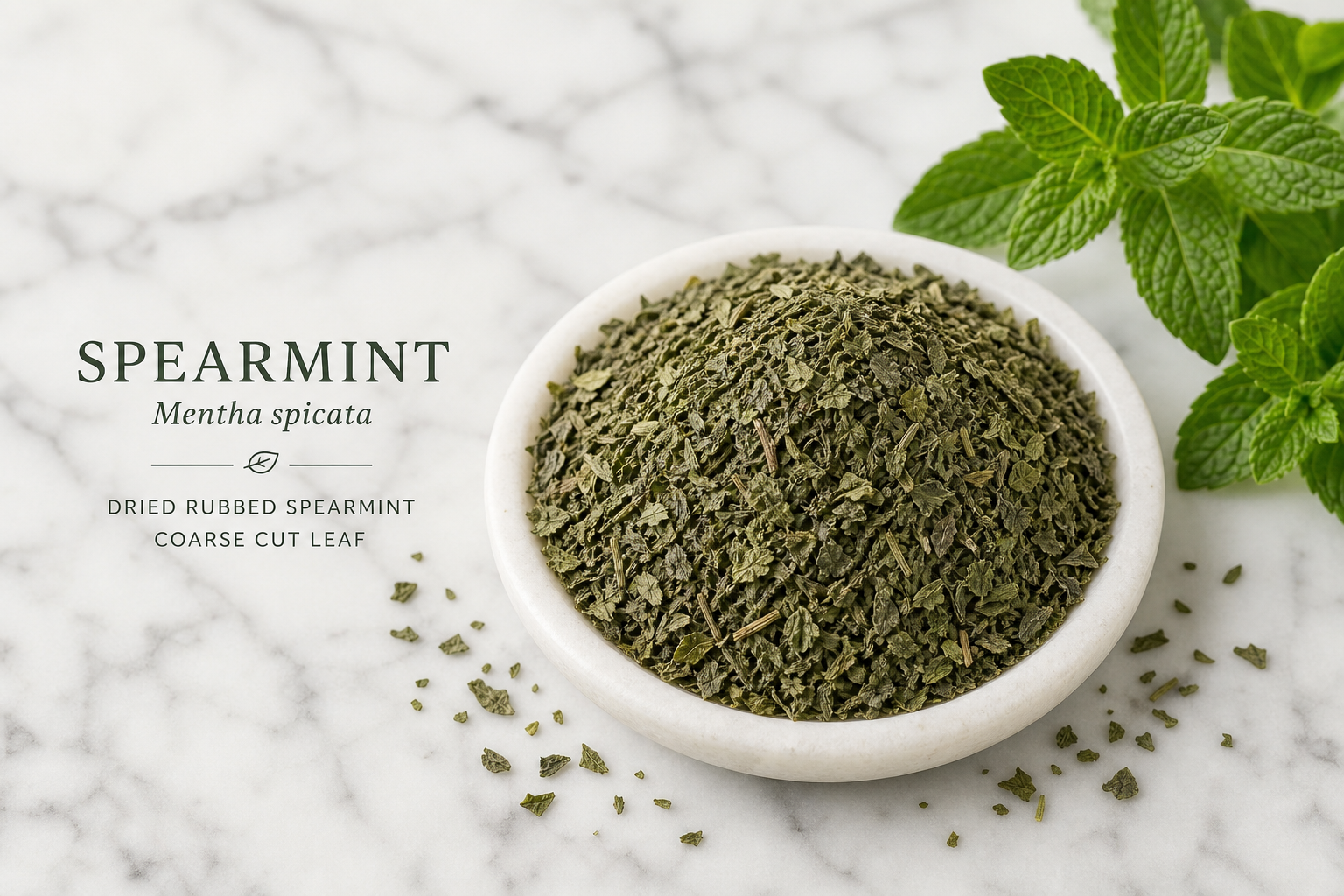 Mint Rubbed (Spearmint) Mentha spicata