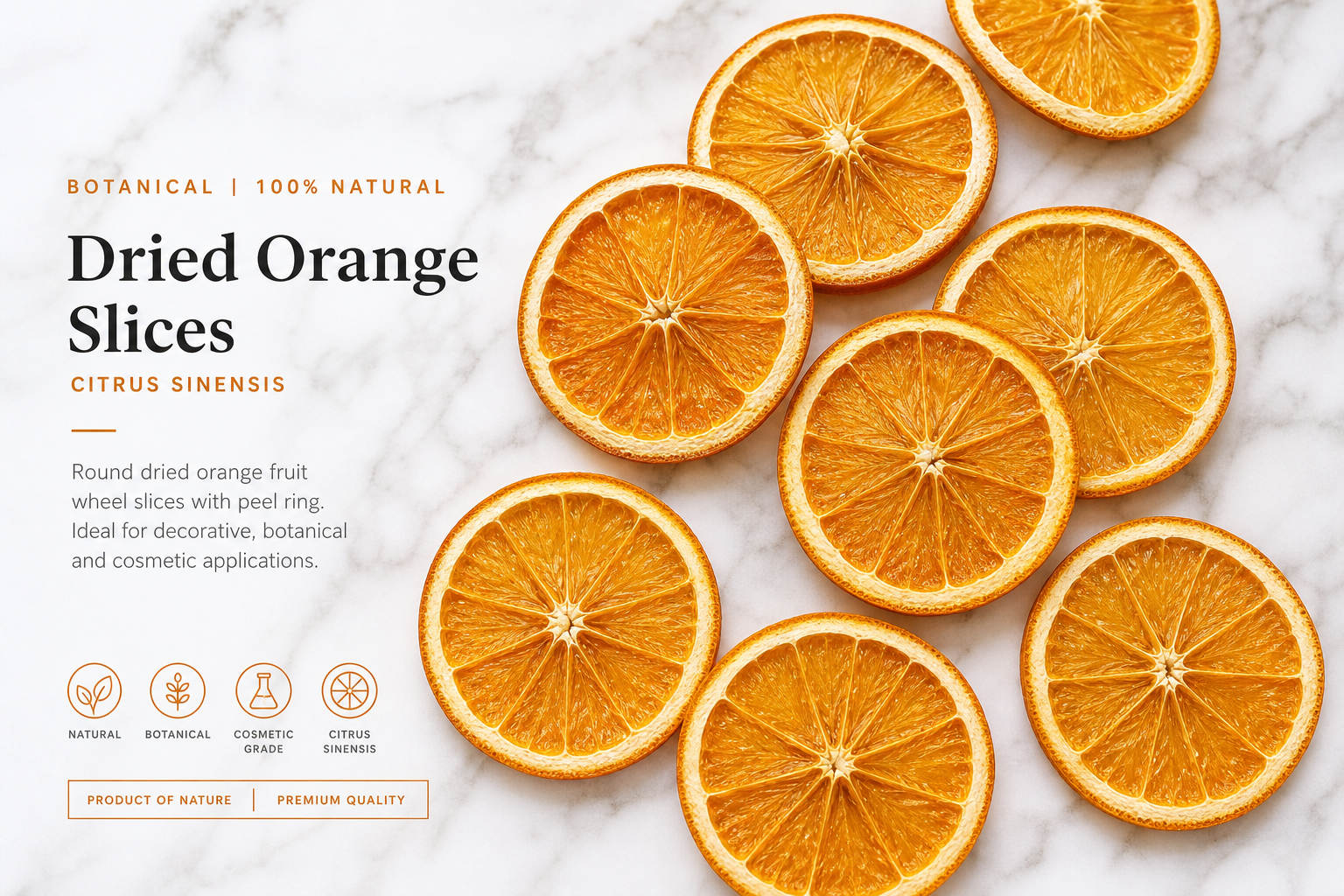 Orange Slices Dried Citrus sinensis