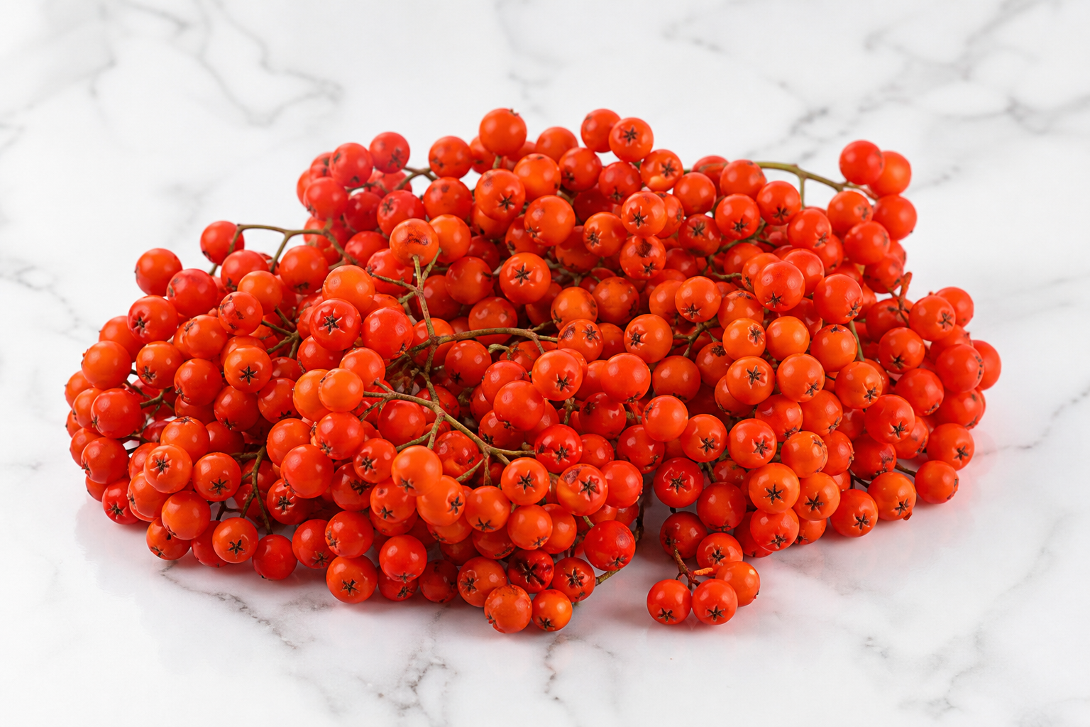 Rowan Berries Whole Sorbus aucuparia