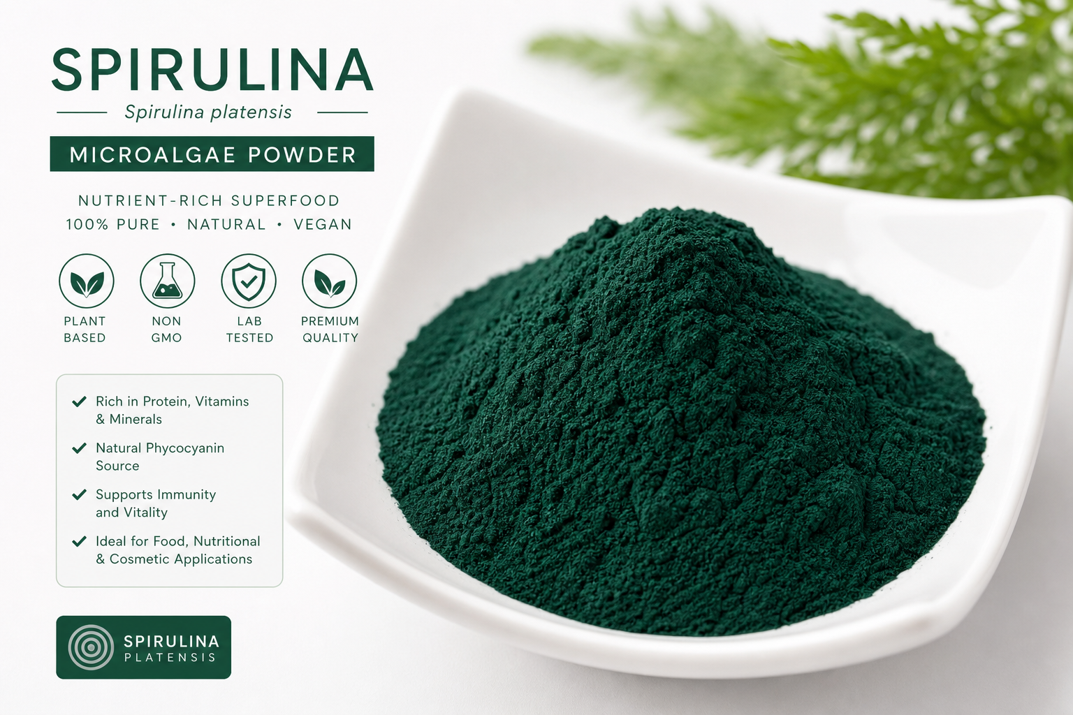 Spirulina Powder Spirulina platensis