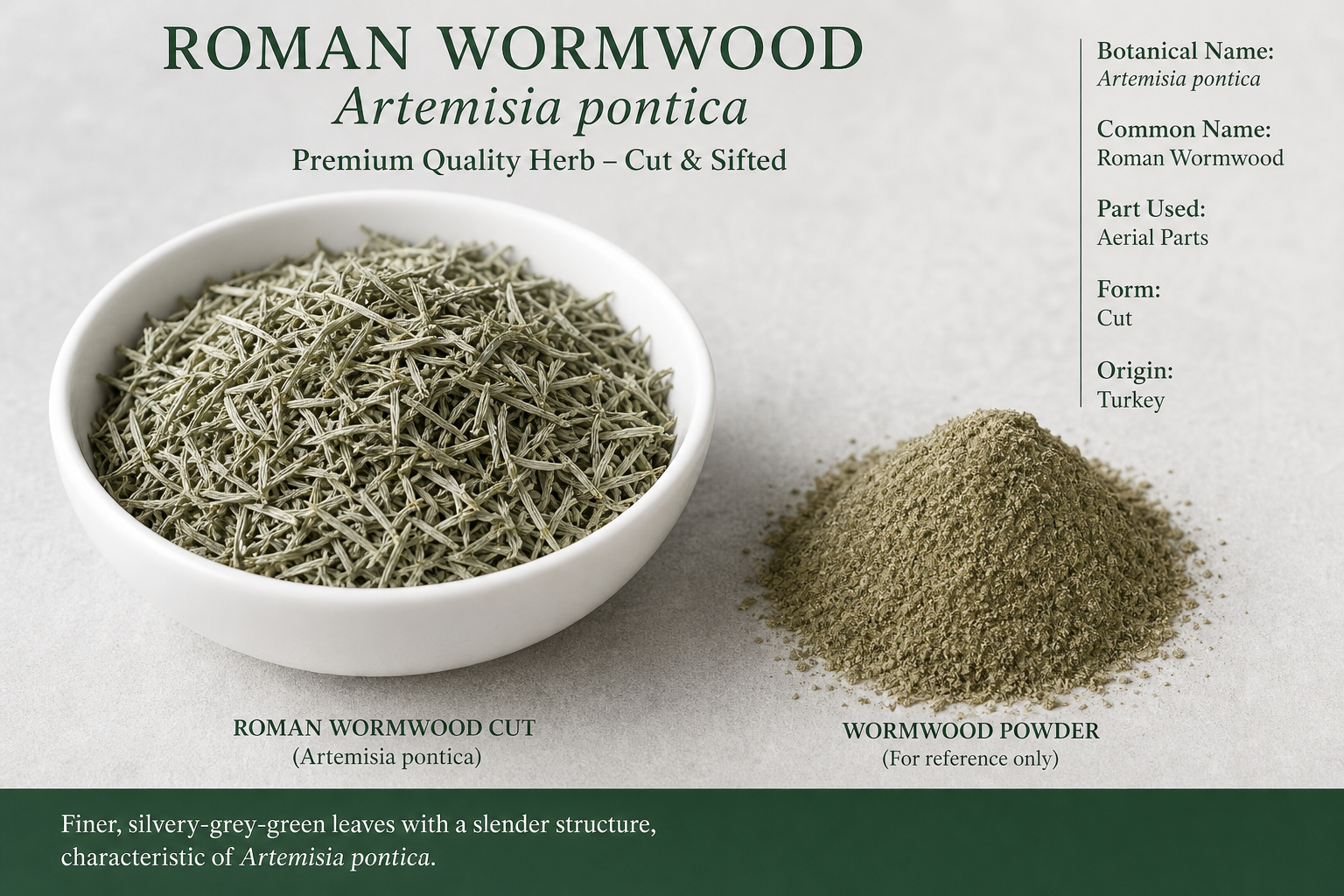 Wormwood Herb Roman Cut Artemisia pontica
